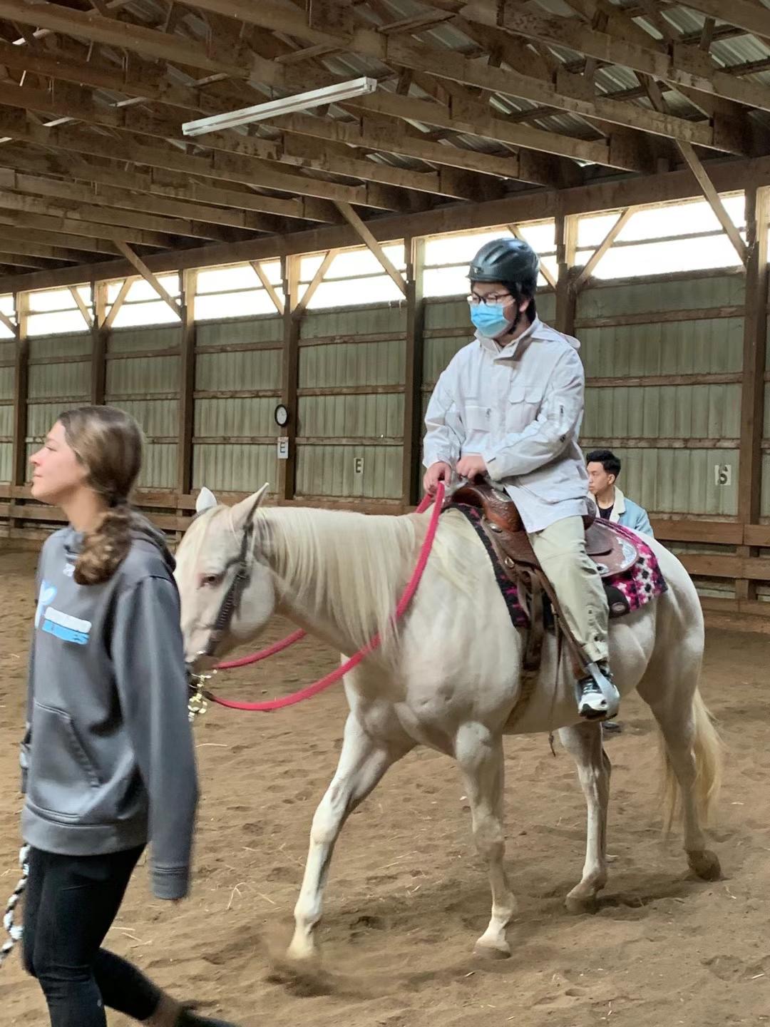 Horse Riding — photo 5